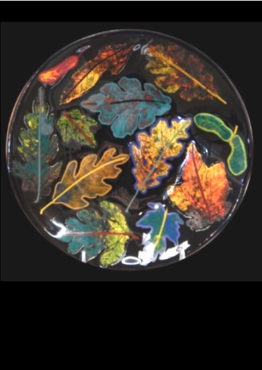 Black-Leaf-Bowl-Kiln-Fired-Glass